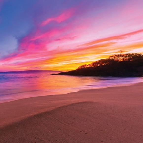 Meet your Posher, Tammy - Picture 1 of 1